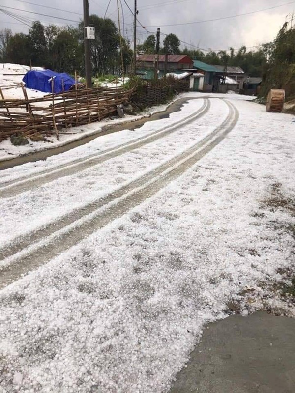 Mưa đá kinh hoàng, phủ trắng xóa đường, sườn đồi ở Lai Châu-1