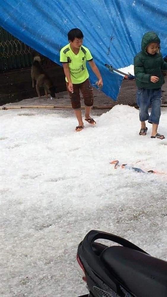 Mưa đá kinh hoàng, phủ trắng xóa đường, sườn đồi ở Lai Châu-4