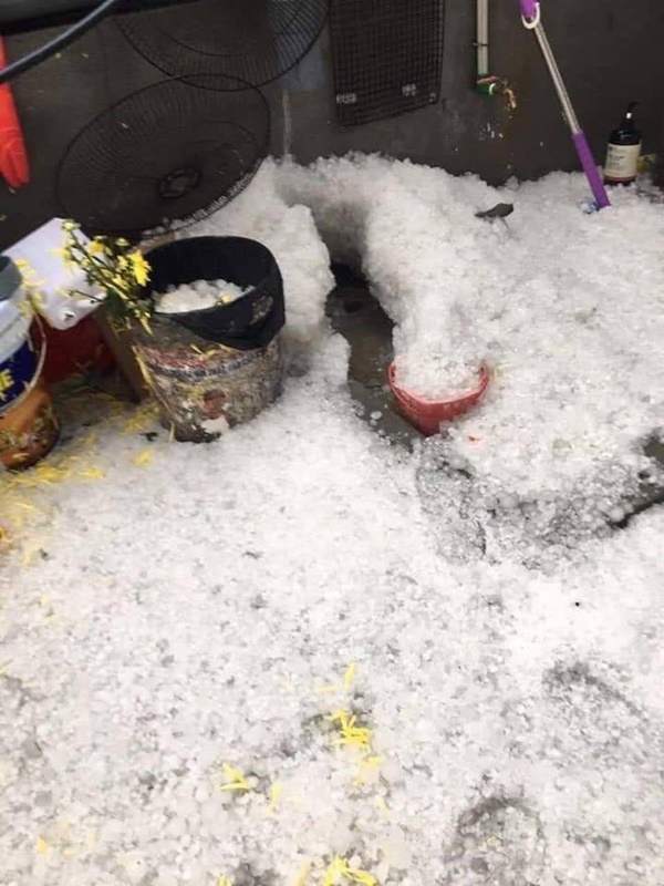 Mưa đá kinh hoàng, phủ trắng xóa đường, sườn đồi ở Lai Châu-7