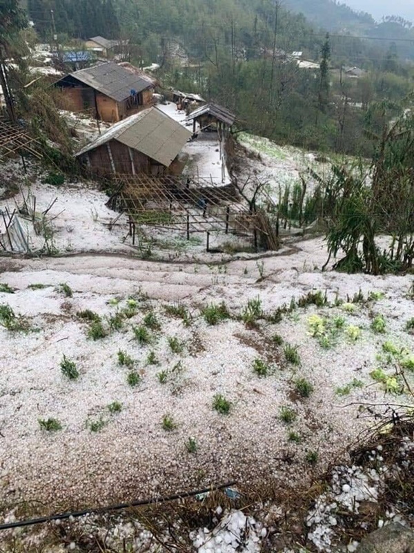 Mưa đá kinh hoàng, phủ trắng xóa đường, sườn đồi ở Lai Châu-10