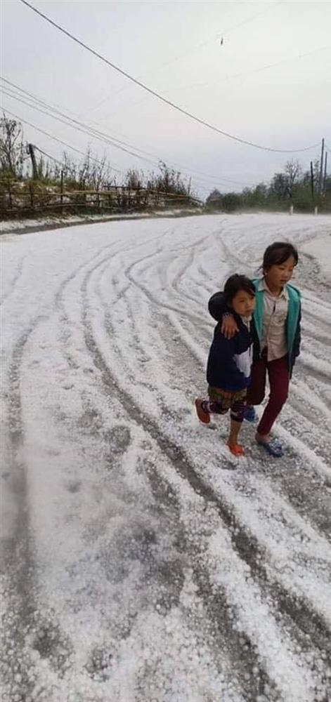 Mưa đá kinh hoàng, phủ trắng xóa đường, sườn đồi ở Lai Châu-11