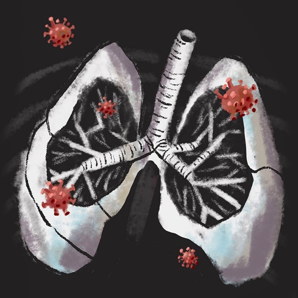 Bệnh X, dịch bệnh của tương lai, đã bùng phát thế nào ở Trung Quốc?-3