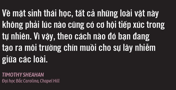 Bệnh X, dịch bệnh của tương lai, đã bùng phát thế nào ở Trung Quốc?-13