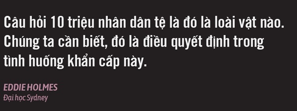 Bệnh X, dịch bệnh của tương lai, đã bùng phát thế nào ở Trung Quốc?-15