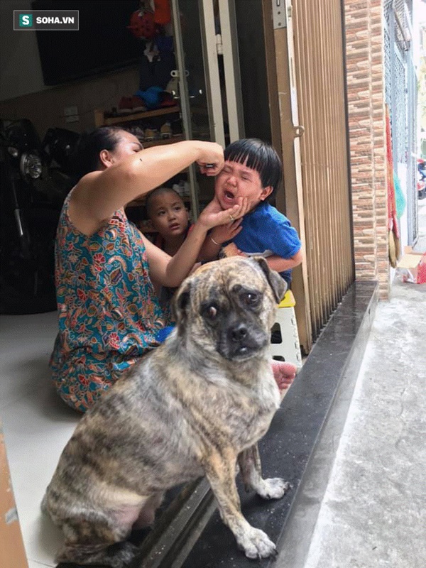 Cậu bé hễ xuất hiện là khiến dân mạng rần rần nhấn like: Kiểu tóc bát úp và tình bạn đặc biệt với chú chó mặt xấu-1