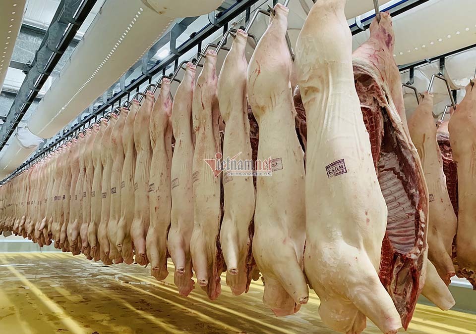 Sau 2 tuần giảm, giá thịt lợn lại tăng vọt lên mức kỷ lục-2