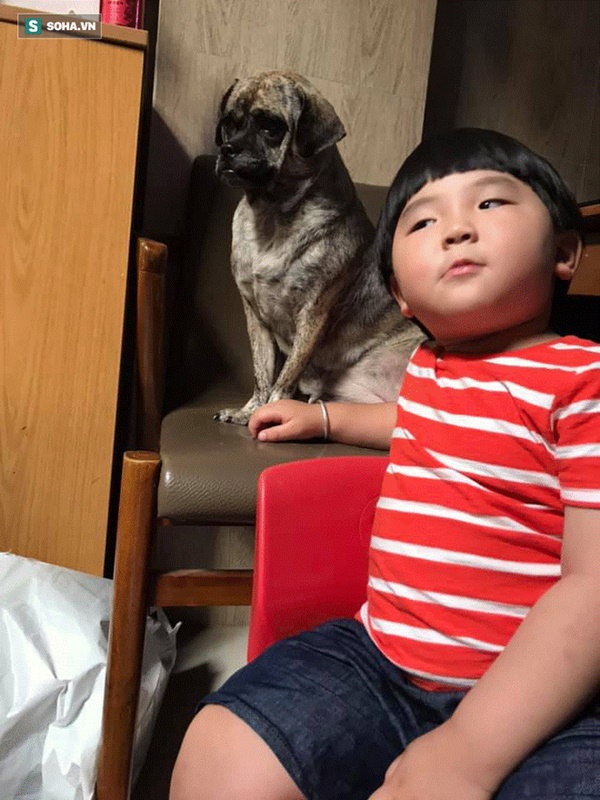 Cậu bé hễ xuất hiện là khiến dân mạng rần rần nhấn like: Kiểu tóc bát úp và tình bạn đặc biệt với chú chó mặt xấu-5