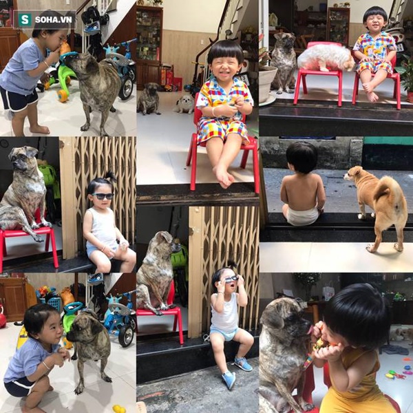Cậu bé hễ xuất hiện là khiến dân mạng rần rần nhấn like: Kiểu tóc bát úp và tình bạn đặc biệt với chú chó mặt xấu-9