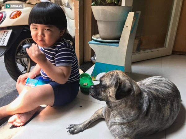 Cậu bé hễ xuất hiện là khiến dân mạng rần rần nhấn like: Kiểu tóc bát úp và tình bạn đặc biệt với chú chó mặt xấu-14