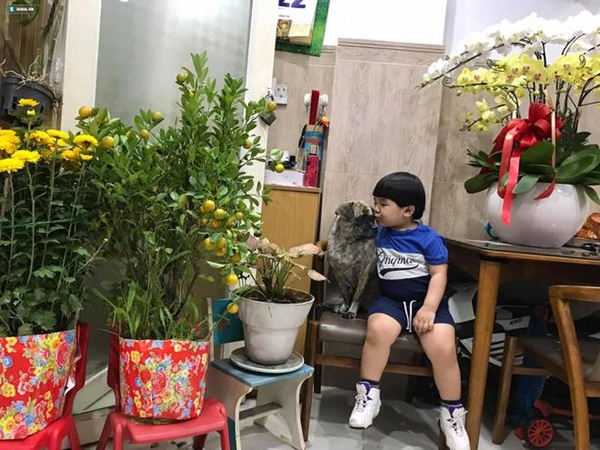 Cậu bé hễ xuất hiện là khiến dân mạng rần rần nhấn like: Kiểu tóc bát úp và tình bạn đặc biệt với chú chó mặt xấu-16