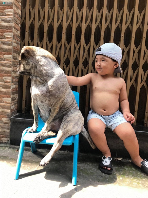Cậu bé hễ xuất hiện là khiến dân mạng rần rần nhấn like: Kiểu tóc bát úp và tình bạn đặc biệt với chú chó mặt xấu-19
