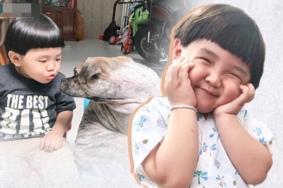 Cậu bé hễ xuất hiện là khiến dân mạng 
