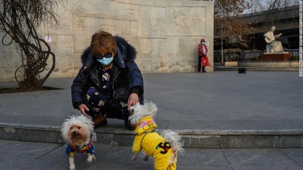 Chó có thật sự nhiễm SARS-CoV-2 và có khả năng lây sang người hay không? Tiết lộ từ chuyên gia sẽ khiến bạn phải ngạc nhiên!-3