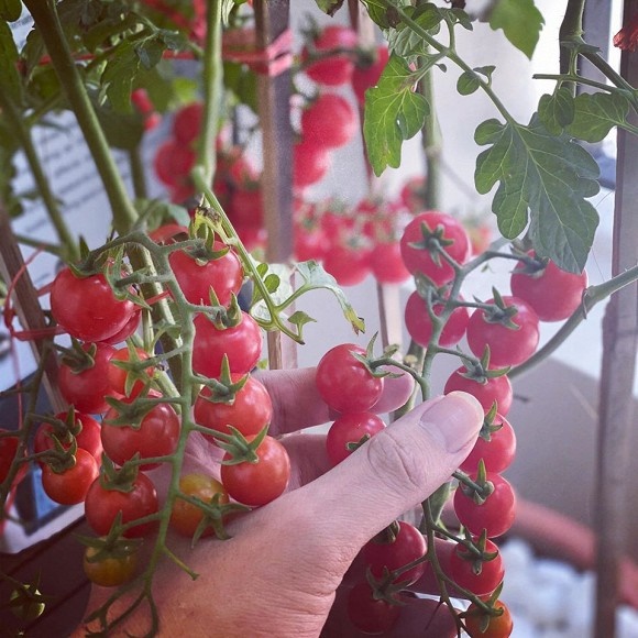 Khám phá không gian bên trong căn hộ hơn 3 tỉ của MC Thái Dũng-12