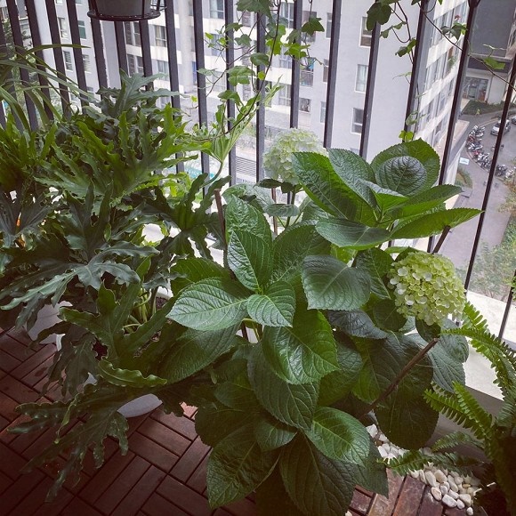 Khám phá không gian bên trong căn hộ hơn 3 tỉ của MC Thái Dũng-13