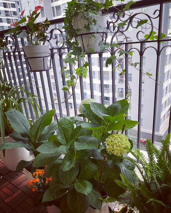 Khám phá không gian bên trong căn hộ hơn 3 tỉ của MC Thái Dũng-14