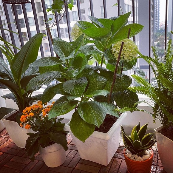 Khám phá không gian bên trong căn hộ hơn 3 tỉ của MC Thái Dũng-19