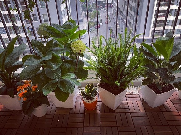 Khám phá không gian bên trong căn hộ hơn 3 tỉ của MC Thái Dũng-20