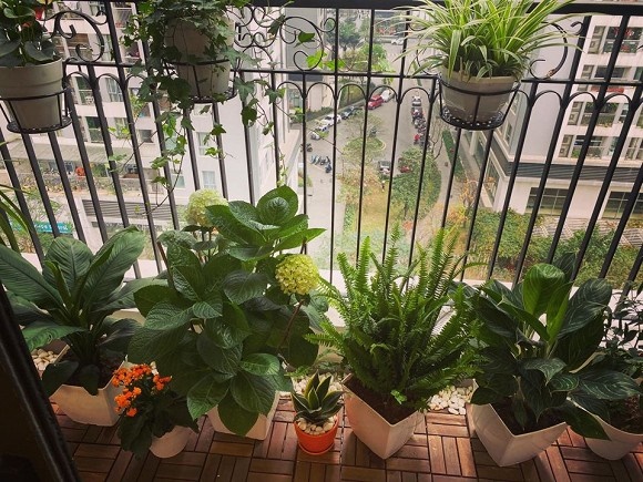 Khám phá không gian bên trong căn hộ hơn 3 tỉ của MC Thái Dũng-21