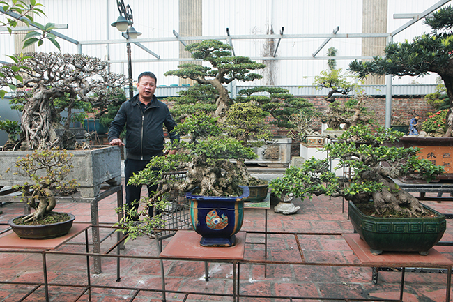 Đầu tư 10 tỷ chơi cây cảnh, đại gia Hà Nội có khối tài sản siêu khủng-1