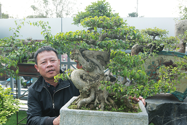 Đầu tư 10 tỷ chơi cây cảnh, đại gia Hà Nội có khối tài sản siêu khủng-14