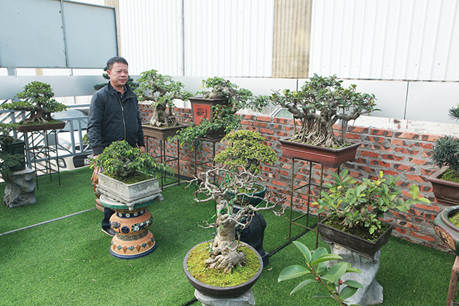 Đầu tư 10 tỷ chơi cây cảnh, đại gia Hà Nội có khối tài sản siêu khủng-4