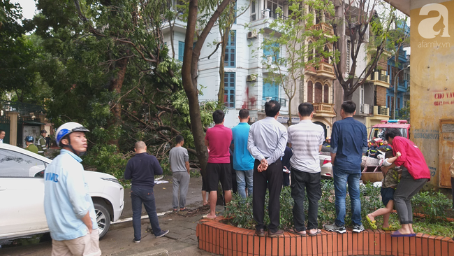 Hà Nội: Clip giải cứu chiếc xe ô tô bị cây cổ thụ bật gốc đè bẹp dúm-3