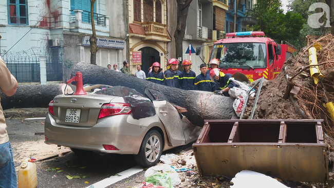 Hà Nội: Clip giải cứu chiếc xe ô tô bị cây cổ thụ bật gốc đè bẹp dúm-4