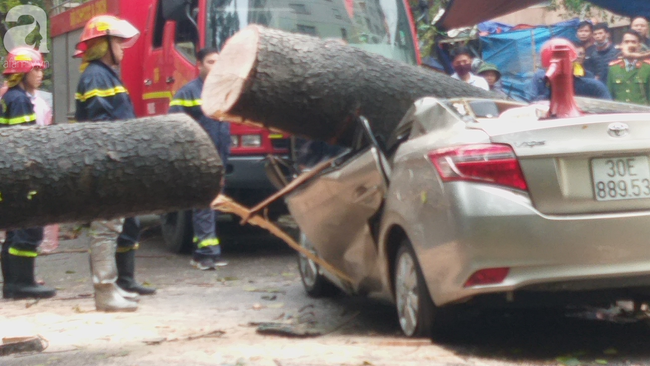 Hà Nội: Clip giải cứu chiếc xe ô tô bị cây cổ thụ bật gốc đè bẹp dúm-6