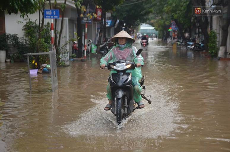 Hà Nội: Nhiều tuyến phố ngập nghiêm trọng, cây xanh bật gốc đổ ngang đường sau cơn mưa như trút nước-6