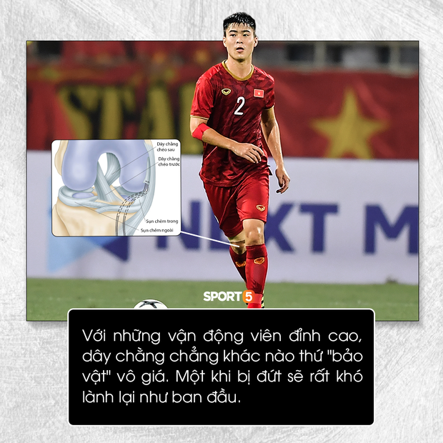 Dây chằng gối: Thứ bảo vật của cầu thủ-2