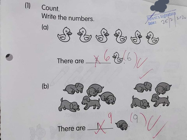 Bài toán đếm vịt gây tranh cãi: Cô bé lớp 1 đưa ra đáp án sai bị cô giáo gạch bỏ nhưng dân mạng đồng tình Vậy mới đúng”!-1