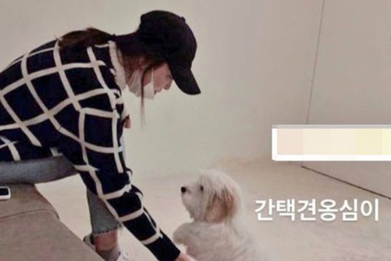 Xuất hiện lần đầu sau khi nhận chỉ trích dữ dội, Song Hye Kyo lại bị nhắc nhở vì sự bất cẩn này
