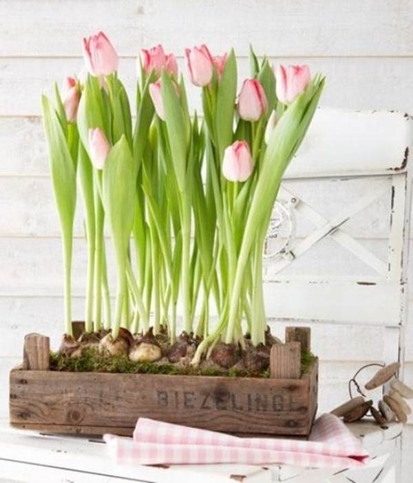 Decor ngôi nhà tràn ngập sắc xuân với những bông hoa tulip-9