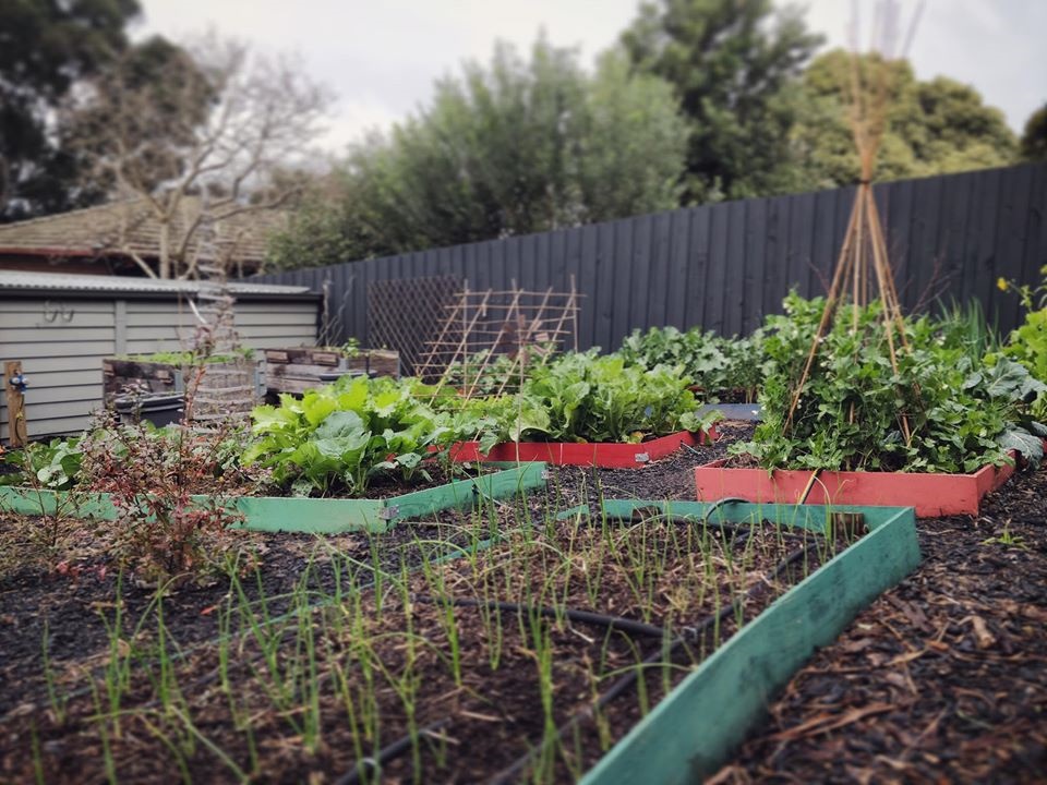 Khu vườn yên bình rộng 15ha ngập tràn hoa lá, cỏ cây của ông bố hai con-2