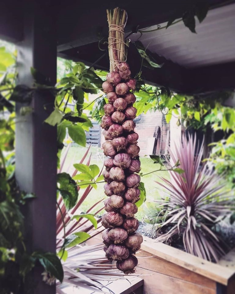 Khu vườn yên bình rộng 15ha ngập tràn hoa lá, cỏ cây của ông bố hai con-5