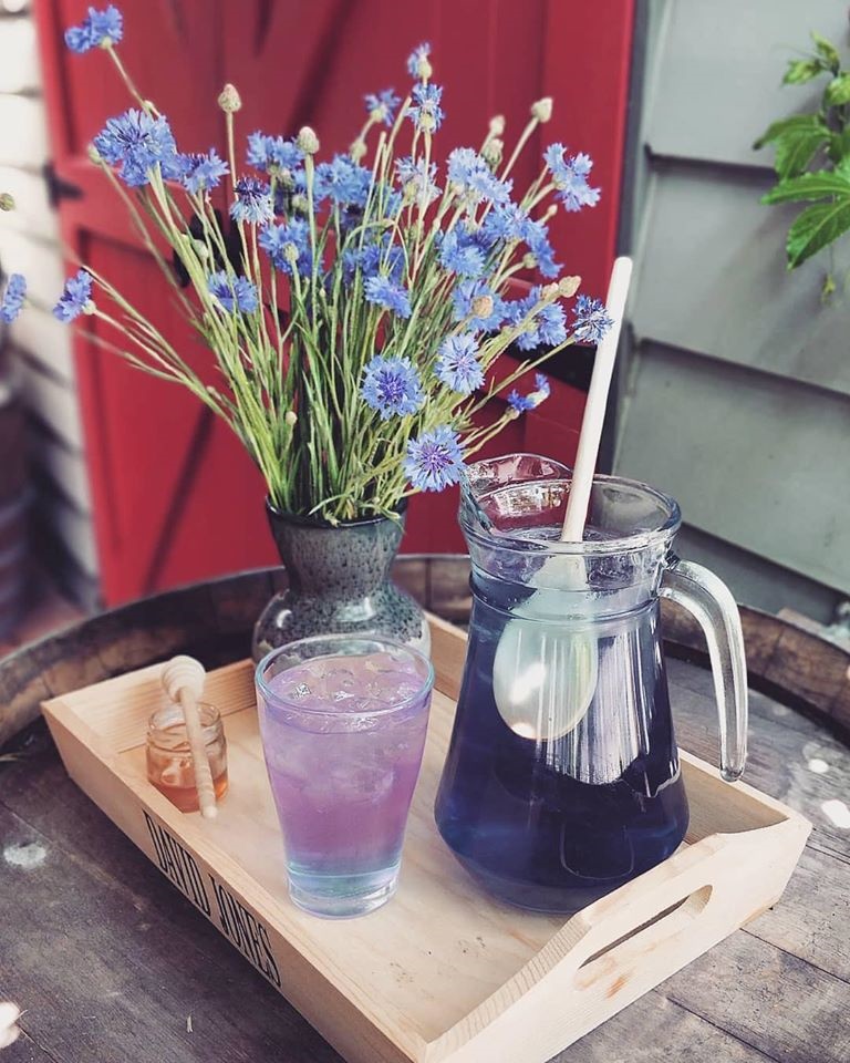 Khu vườn yên bình rộng 15ha ngập tràn hoa lá, cỏ cây của ông bố hai con-12