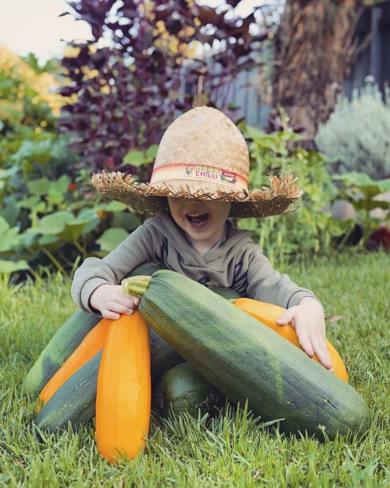 Khu vườn yên bình rộng 15ha ngập tràn hoa lá, cỏ cây của ông bố hai con-13