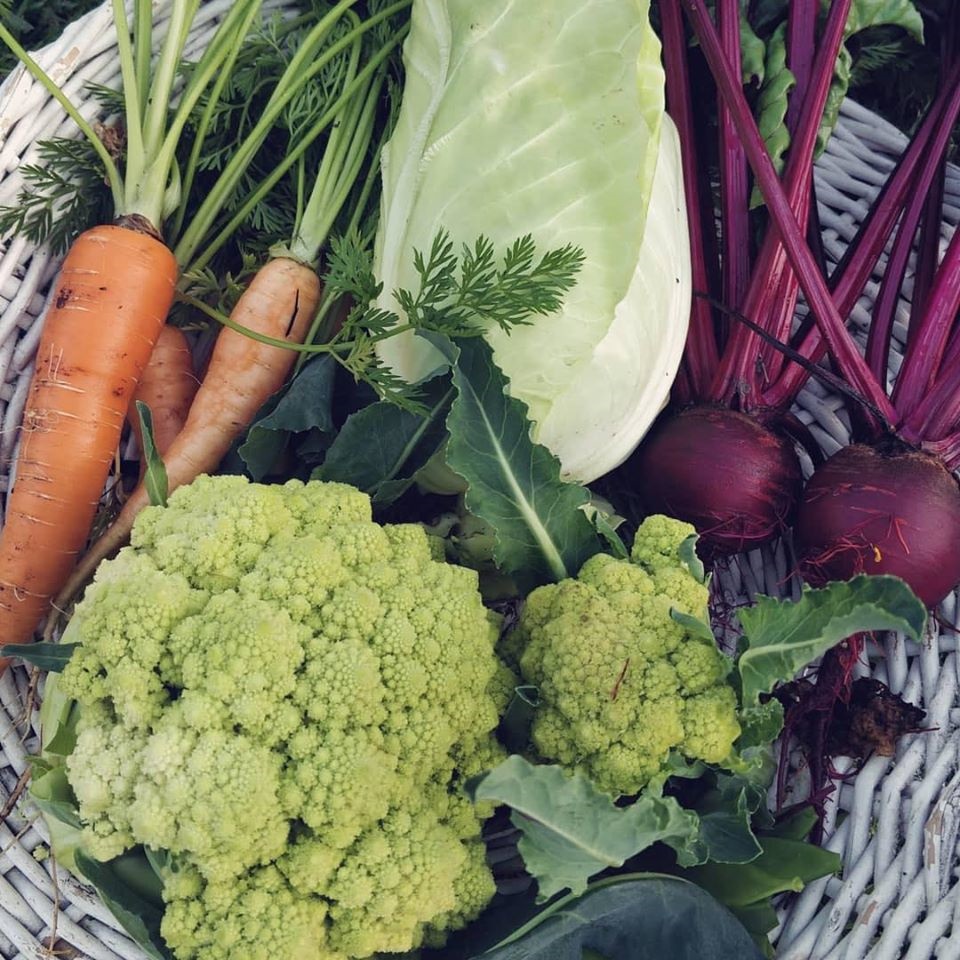 Khu vườn yên bình rộng 15ha ngập tràn hoa lá, cỏ cây của ông bố hai con-19