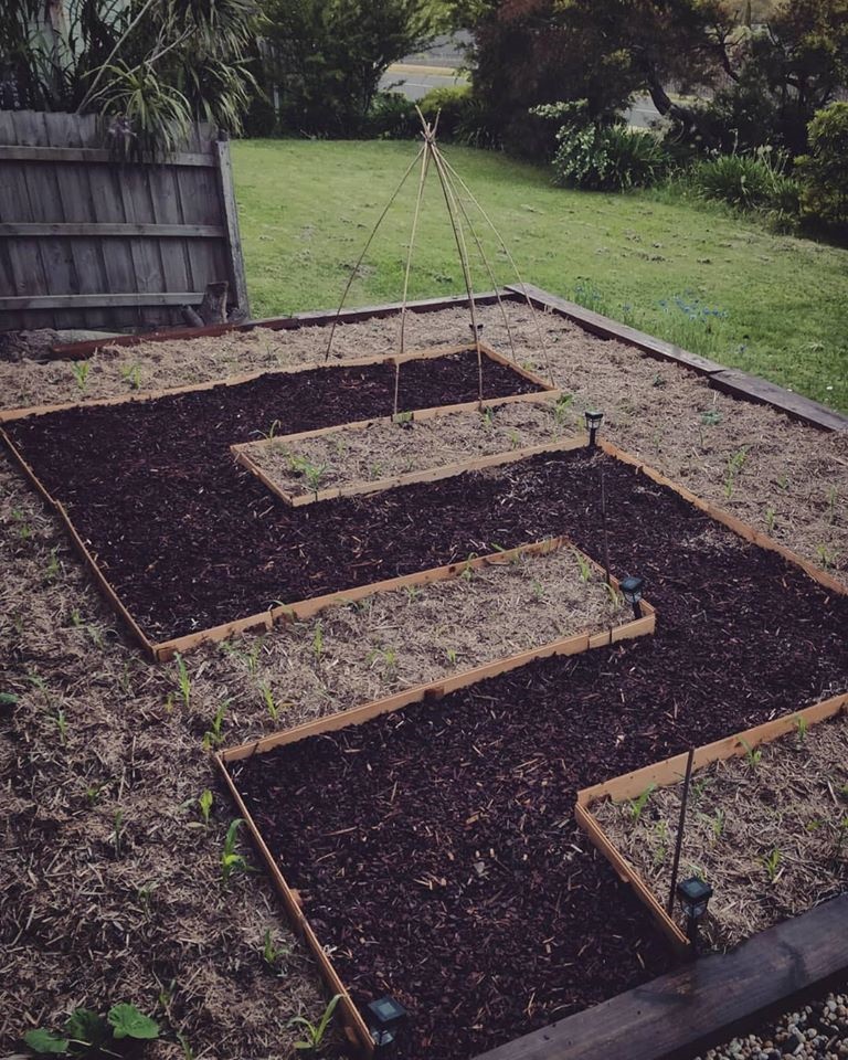 Khu vườn yên bình rộng 15ha ngập tràn hoa lá, cỏ cây của ông bố hai con-21