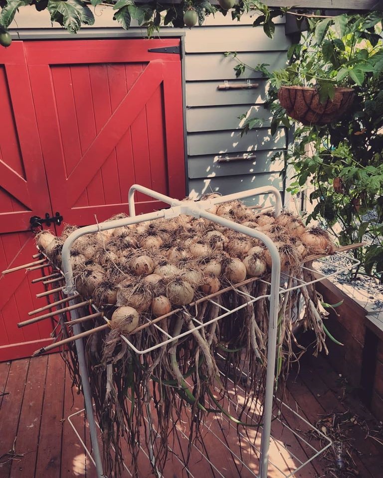 Khu vườn yên bình rộng 15ha ngập tràn hoa lá, cỏ cây của ông bố hai con-22