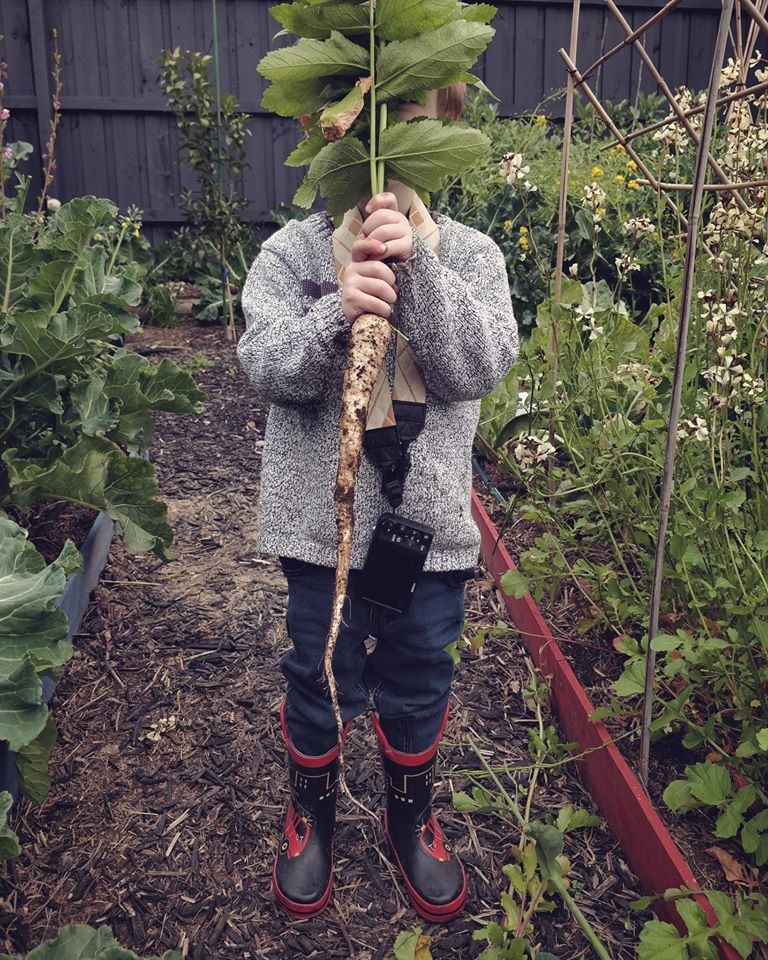 Khu vườn yên bình rộng 15ha ngập tràn hoa lá, cỏ cây của ông bố hai con-23