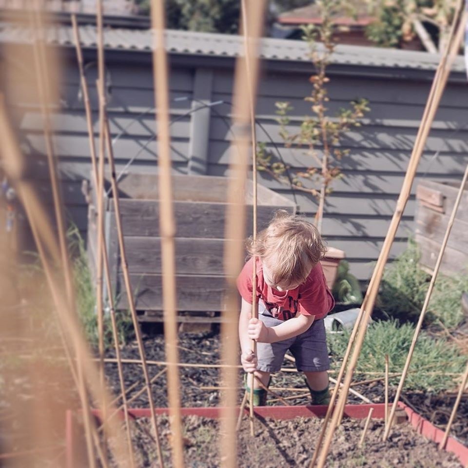 Khu vườn yên bình rộng 15ha ngập tràn hoa lá, cỏ cây của ông bố hai con-25