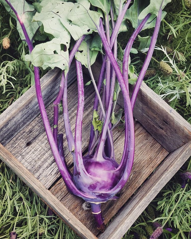 Khu vườn yên bình rộng 15ha ngập tràn hoa lá, cỏ cây của ông bố hai con-26