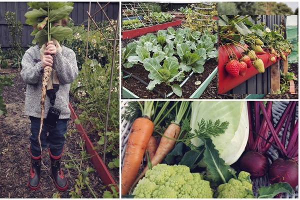 Ngôi nhà gần trăm năm tuổi bên cạnh khu vườn hoa hồng gói gọn những lặng lẽ, yên bình của xứ Huế mộng mơ-38