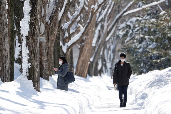 Tỷ lệ lây nhiễm Covid-19 ở Nhật chỉ là phần nổi tảng băng-1