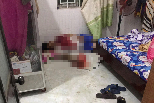 Bắt 2 người liên quan vụ đập phá biệt thự của đại gia bất động sản-2