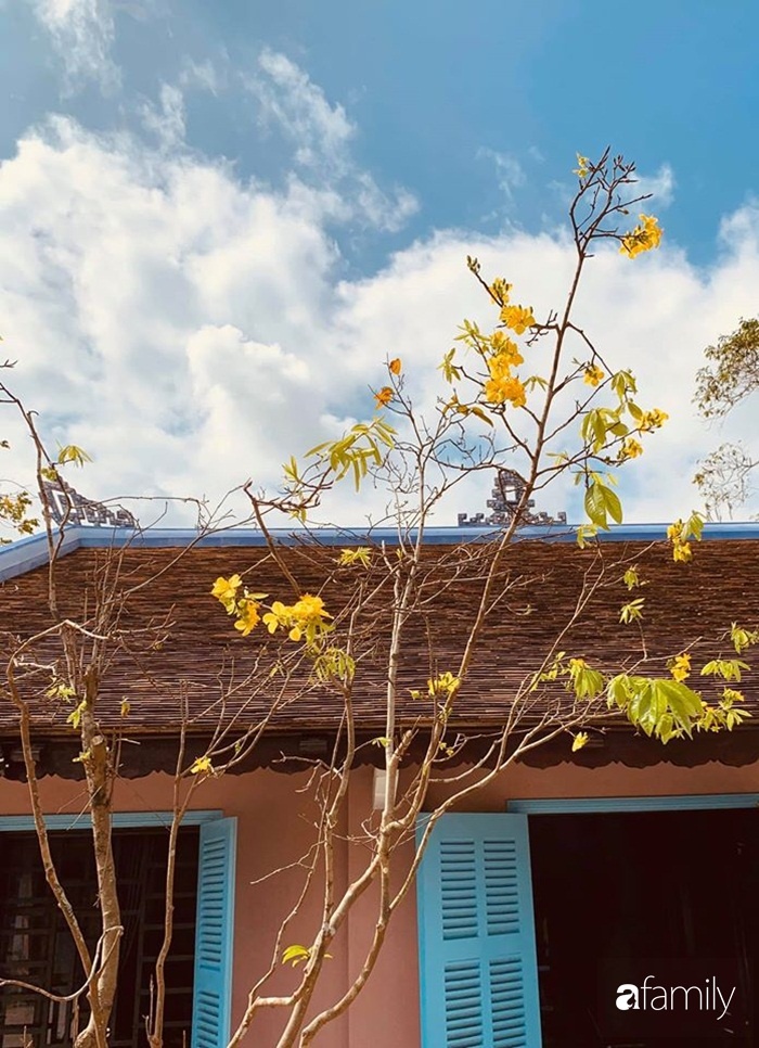 Ngôi nhà gần trăm năm tuổi bên cạnh khu vườn hoa hồng gói gọn những lặng lẽ, yên bình của xứ Huế mộng mơ-7