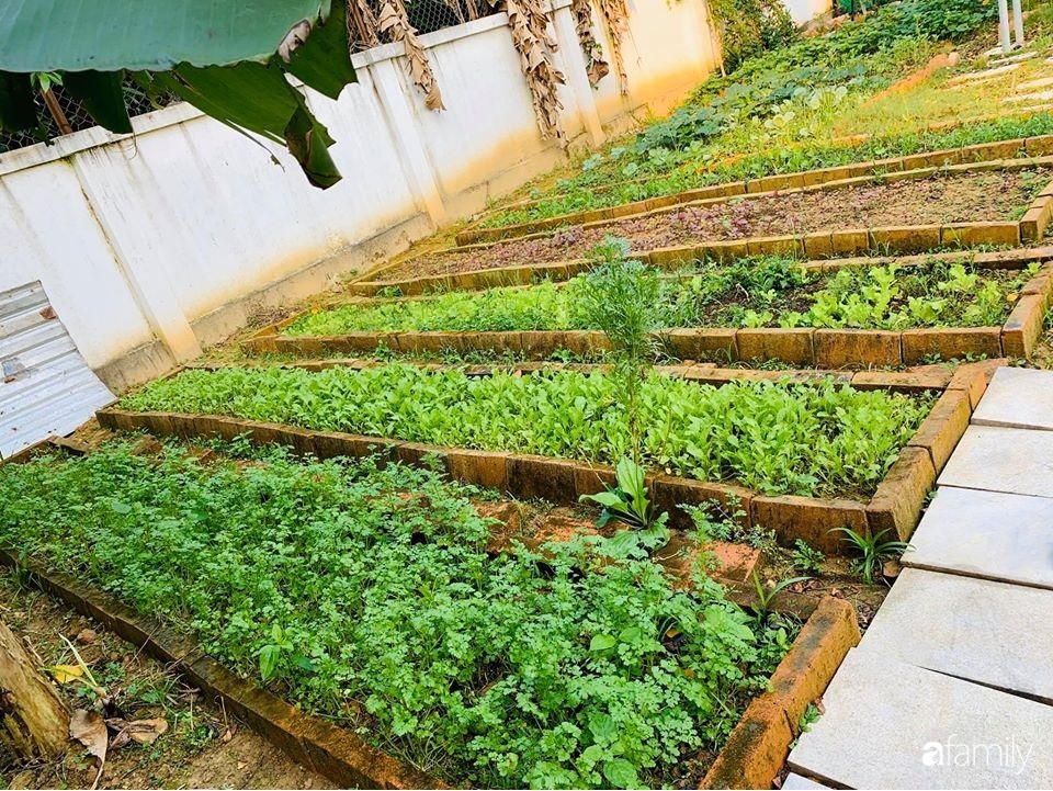 Ngôi nhà gần trăm năm tuổi bên cạnh khu vườn hoa hồng gói gọn những lặng lẽ, yên bình của xứ Huế mộng mơ-13