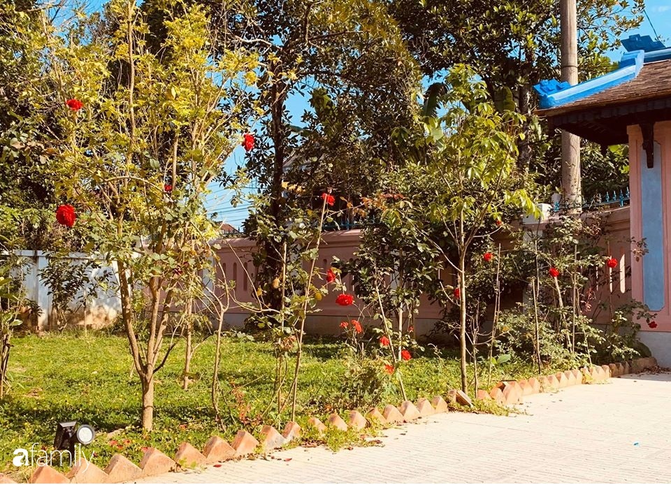 Ngôi nhà gần trăm năm tuổi bên cạnh khu vườn hoa hồng gói gọn những lặng lẽ, yên bình của xứ Huế mộng mơ-21